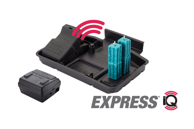 Express iQ