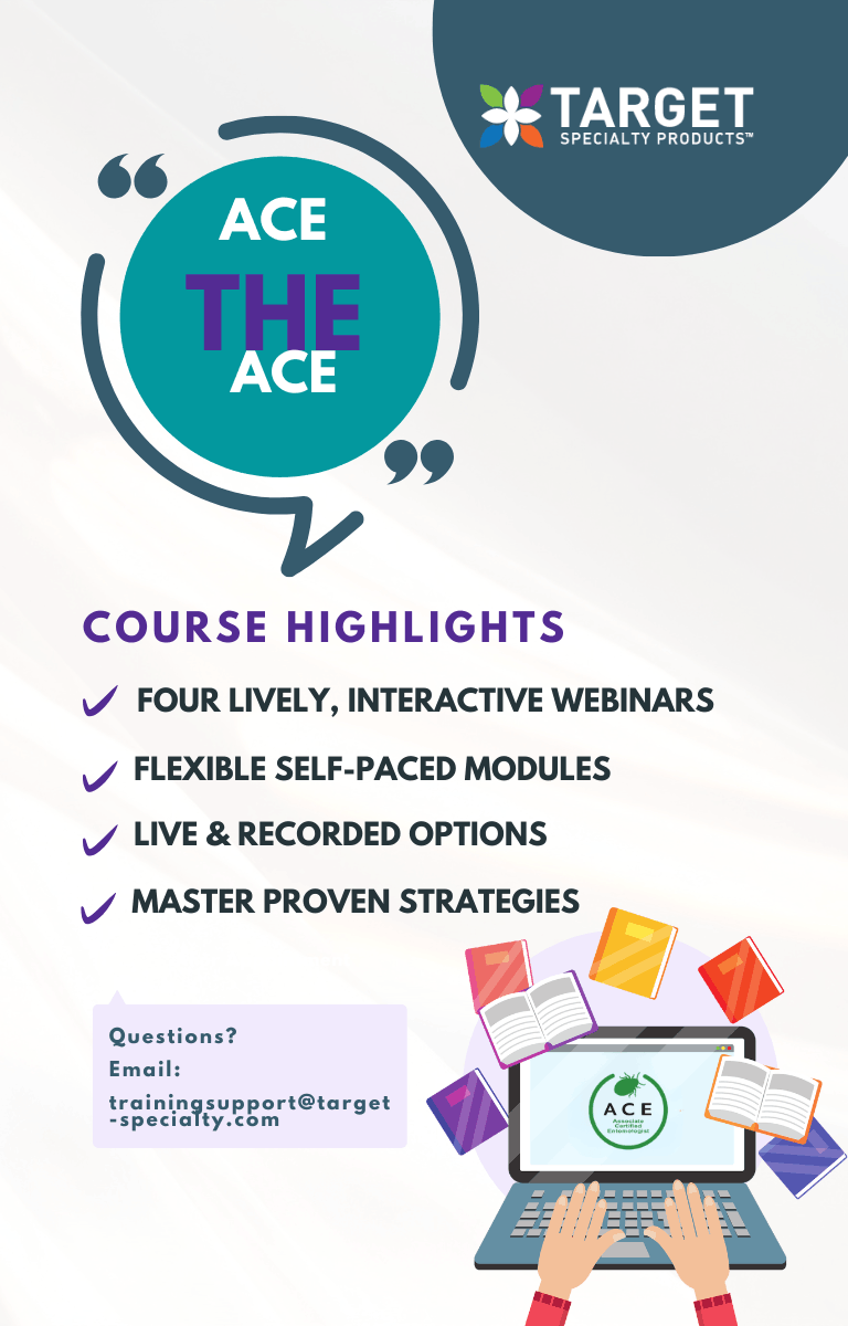Ace the Ace Training