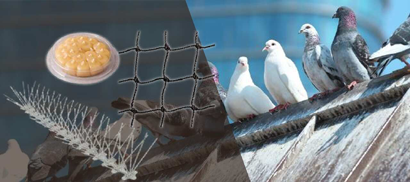 bird control products