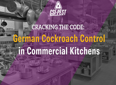 commercial kitchen roach control