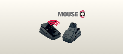 Mouse iQ Sensing Trap