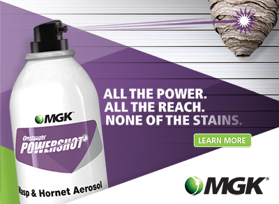 non-staining aerosol insecticide