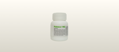 Ridesco WG Small Bottle