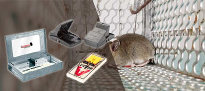 rodent trap products