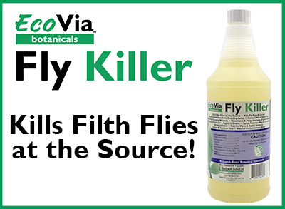 ecovia fly killer