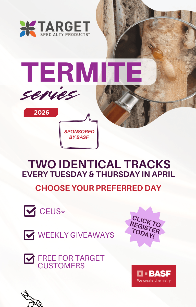 Termite Series 2026