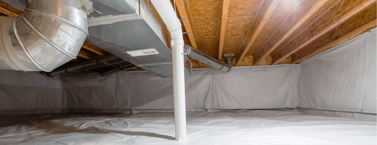 Moisture and Remediation