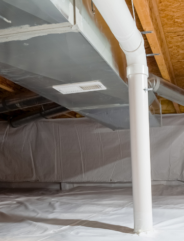 Moisture and Remediation