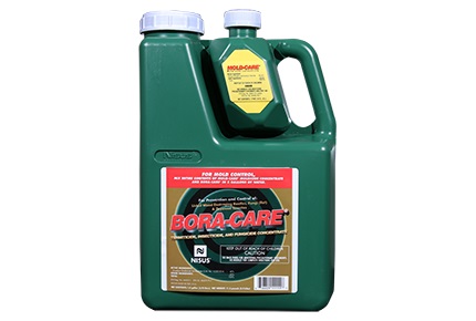 Bora Care plus Mold Care (1gal)