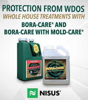 Protection from WDOS - Whole house treatments with Bora-Care and Bora-Care with Mold-Care from Nisus.