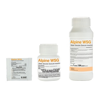 Alpine WSG