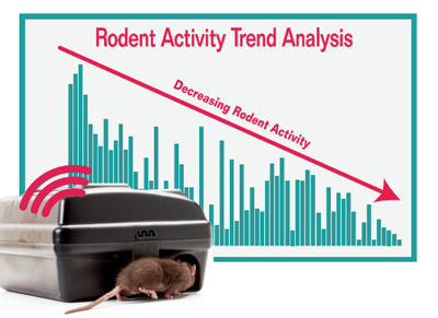decreasing rodent activity