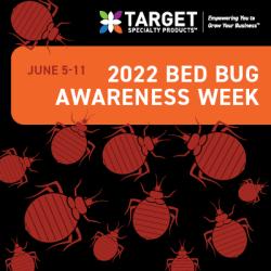 bed bugs hotels