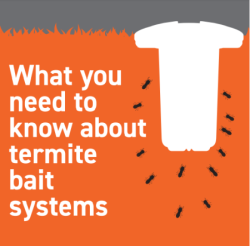 using termite bait stations vs liquid treatment