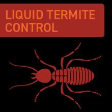 termite chemical