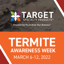termite inspection certification