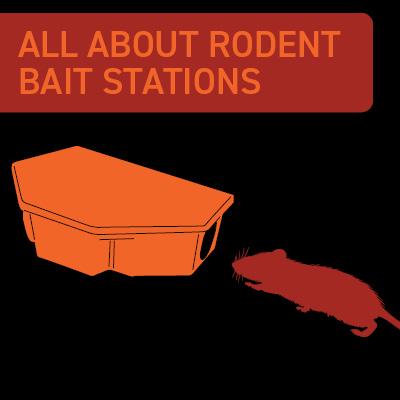 How to Use Mouse Bait Stations for Effective Rodent Control