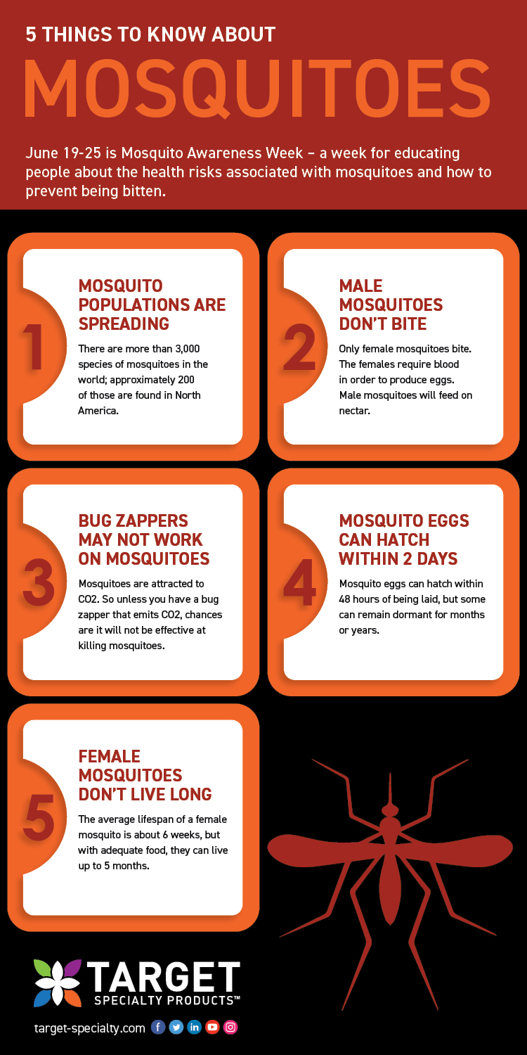 mosquito prevention tips